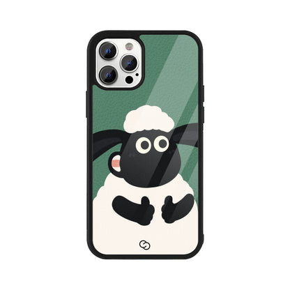 Shaun's Shenanigans Glass Case